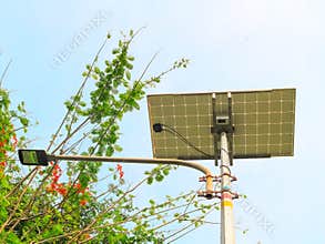 Solar-powered street light with green foliage and clear sky
