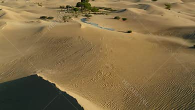 Aerial view of desert landscape showing sand dunes with textured patterns and vegetation