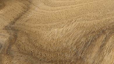 Book Opening on Table