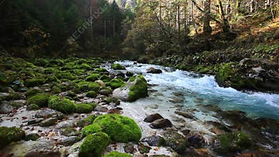 Fresh cold mountain river with sound of nature