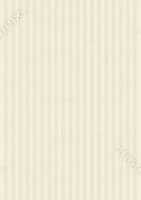 Striped Cream, Beige Paper Texture Background