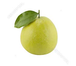 Bergamot oranges