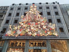 chrismast tree in shop center at Paris, France
