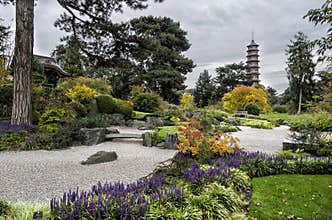 Kew Gardens in Autumn III