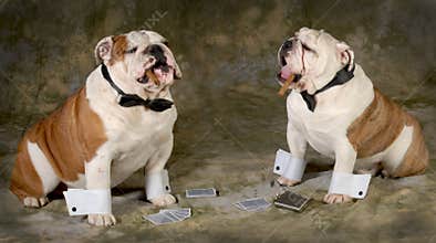 Poker game