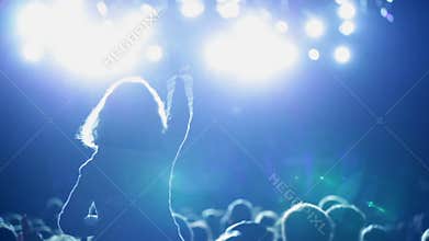 Anonymous family at a pop concert