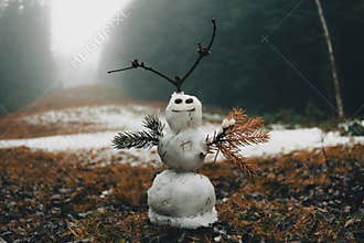 Little snowman in the mystery forest