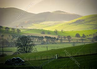 Rolling Rural Hills