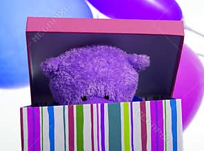 Bear in box
