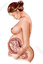 Pregnant