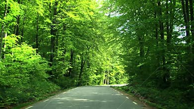Driving on country road