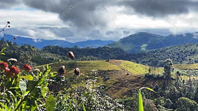 Serenity Over the Hills : Timelapse of Clouds and Wildflowers