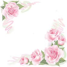 Flower Rose frame on white background. Floral greeting card background decor.