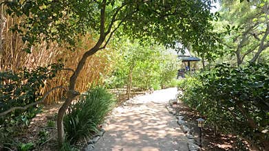 footage along a winding footpath with lush green trees and plants and colorful flowers at Descanso Gardens La Canada Flintridge