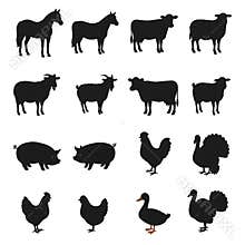 Farm Animals Silhouette Set in Vector Style