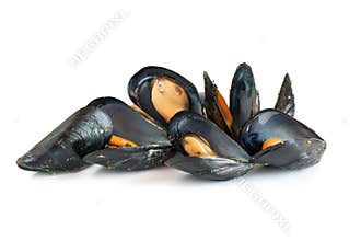 Cooked mussels