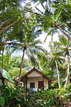 Little house among trees