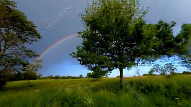 Faint rainbow arching over green field single tree serene landscape nature stock footage Generative AI