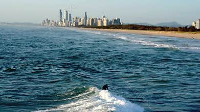 Surfer catching waves in Surfers Paradise Gold Coast Australia