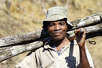 Hard working man carrying a tree trunk - MADAGASCAR