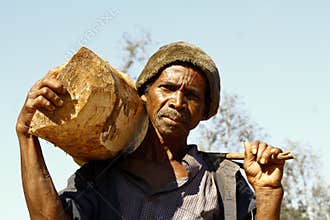 Hard working man carrying a tree trunk - MADAGASCAR