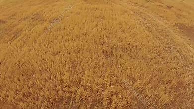 Aerial footage of silo on rural farm