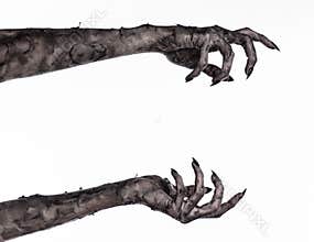 Black hand of death, the walking dead, zombie theme, halloween theme, zombie hands, white background, mummy hands