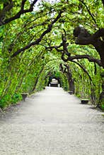 Garden arbor tunnel