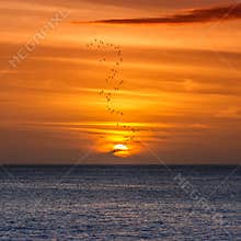 Birds fly over the ocean as the sun sets in Martinique during the evening hours