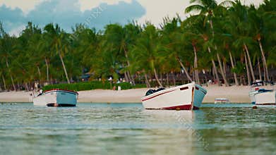 Beautiful view of the beach with palms nature of the Mauritius. Exotic sea coast landscape with white sand. Luxury
