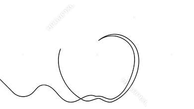 Apple outline animation continuous line drawing minimal 4k simple fruit video