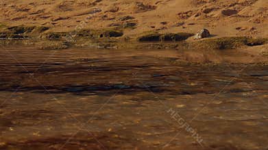 Close-up of clear water flowing over sand