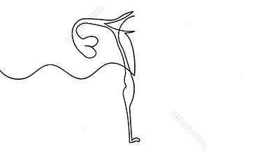 One line art animation seamless loop minimal design womens uterus icon
