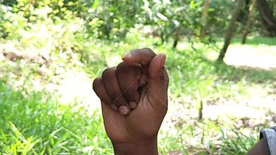 Hand Counting Gestures Fingers Close Up, Human Hand Signals Outdoor Background Education Concept