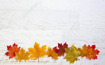 Autumn Thanksgiving Background