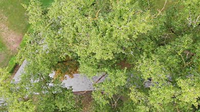 aerial top-down view shows a paved pedestrian walkway winding through a lush green public park