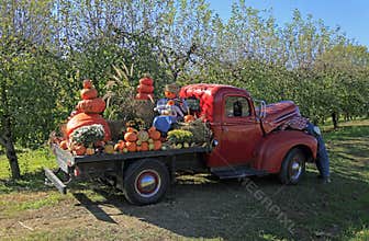 Old Ford truck in Hendersonville