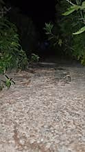 Stone Pathway Texture - Garden Path at Night