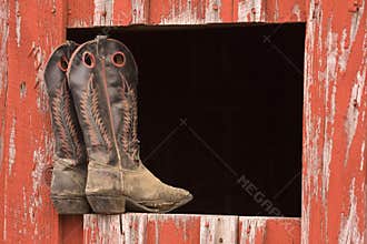 Cowboy Boots