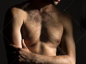 Male chest