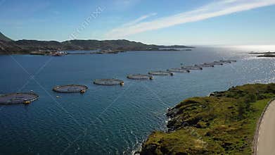 Farm salmon fishing in Norway