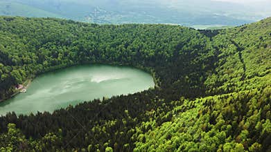 Aerial drone view at low altitude of a lakeside meadow with timber log