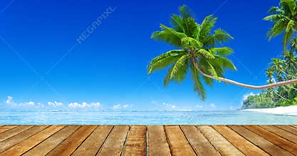 Sunny Tropical Summer Paradise Beach