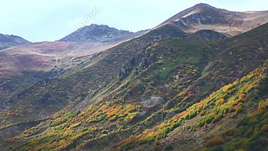 Patagonia Argentina autumn foliage blankets mountain slopes with red, orange, and yellow trees, forest, andes, south america