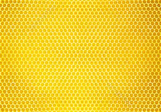 Natural honey comb background or texture