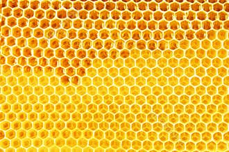 Natural honey in honeycomb background