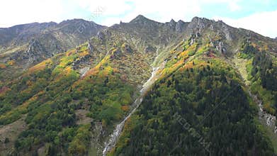 Patagonia Argentina autumn foliage blankets mountain slopes with red, orange, and yellow trees, forest, andes, south america