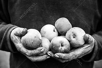 Cracked dirty old hands