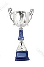 Silver cup