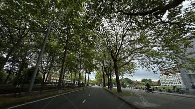 Tree-lined urban avenue with tram tracks and cyclist under green canopy